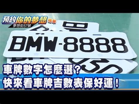 查詢時所輸入的車牌號碼與額外資料|中華民國交通部公路局